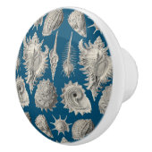 Seashells Nautical Beach Muscheln Blue White Keramikknauf (Rechts)