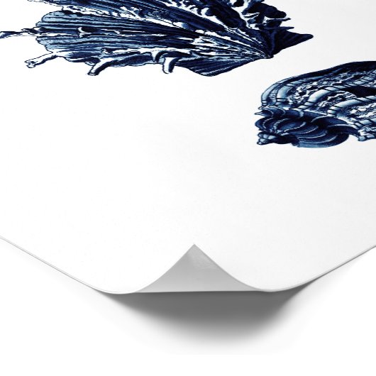 Seashells Navy Blue Decor Poster (Ecke)