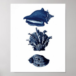 Seashells Navy Blue Decor Poster