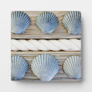 Seashells New York City Fotoplatte