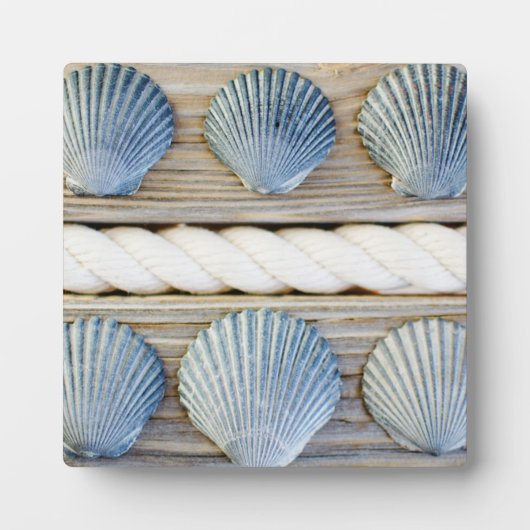 Seashells | New York City Fotoplatte (Vorderseite)