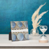 Seashells | New York City Fotoplatte (InSitu)