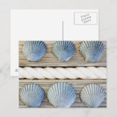 Seashells | New York City Postkarte (Vorne/Hinten)