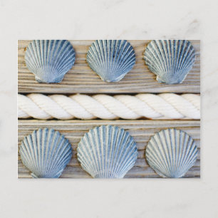 Seashells New York City Postkarte