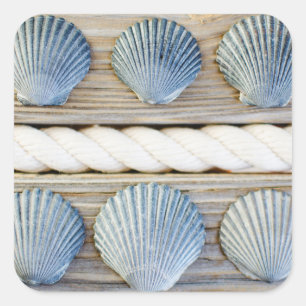 Seashells   New York City Quadratischer Aufkleber