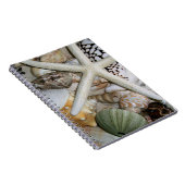 Seashells Notebook Notizblock (Rechte Seite)