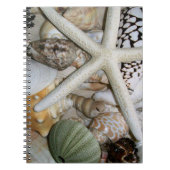 Seashells Notebook Notizblock (Vorderseite)