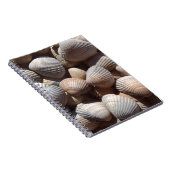 Seashells Notizblock (Rechte Seite)