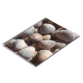 Seashells Notizblock (Linke Seite)