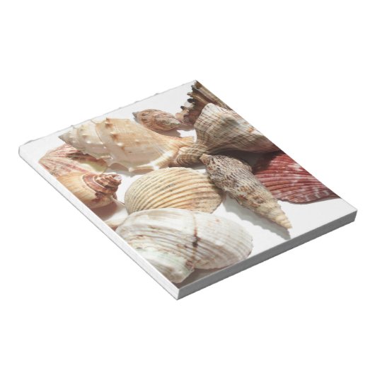 Seashells Notizblock (angewinkelt)
