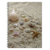 Seashells On Beach Sand Writing Journal Notizblock (Vorderseite)