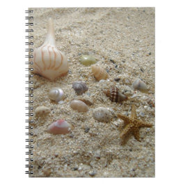 Seashells On Beach Sand Writing Journal Notizblock