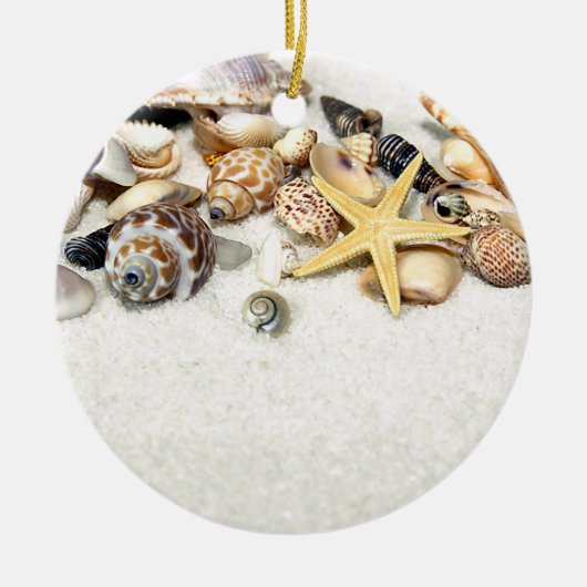 Seashells Ornament (Vorne)