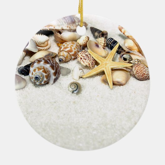 Seashells Ornament (Hinten)