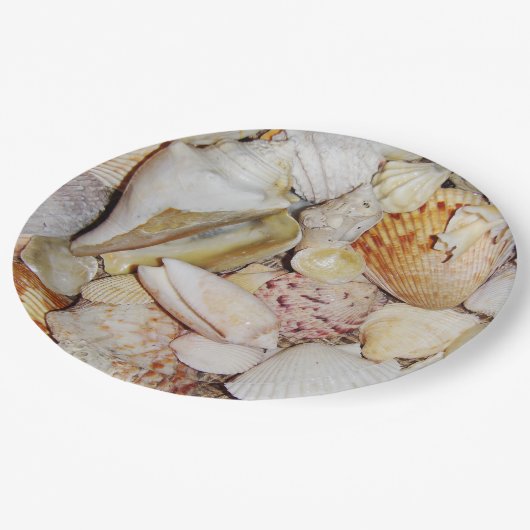 Seashells Pappteller (Schrägansicht)