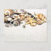 Seashells Postcard Postkarte (Vorderseite)