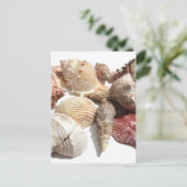 Seashells Postcard Postkarte (Stehend Vorderseite)
