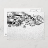Seashells Postcard Postkarte (Vorne/Hinten)