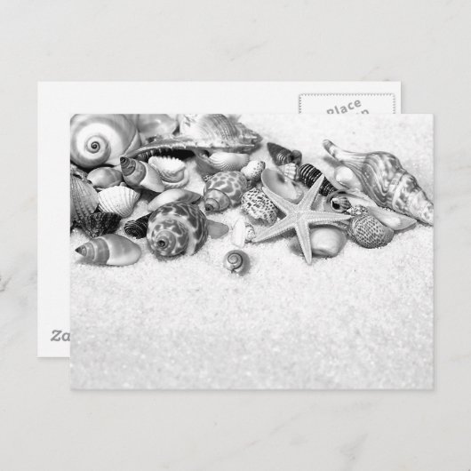 Seashells Postcard Postkarte (Vorne/Hinten)