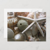 Seashells Postcard Postkarte (Vorne/Hinten)
