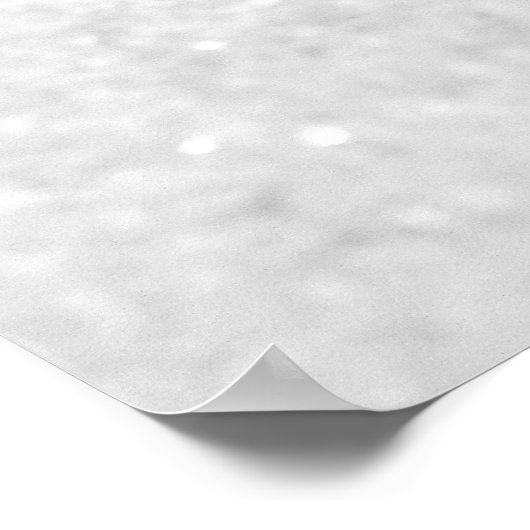 Seashells Poster (Ecke)