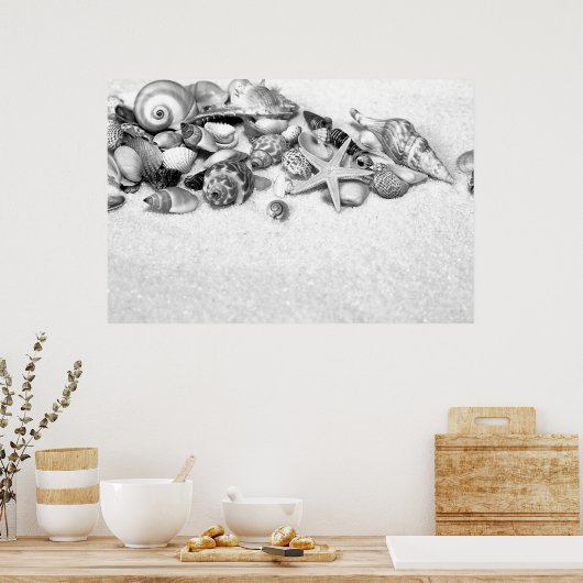 Seashells Poster (Küche)