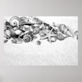 Seashells Poster (Vorne)