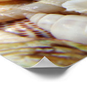 Seashells Poster (Ecke)