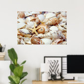 Seashells Poster (Heimbüro)