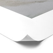 Seashells Poster (Ecke)