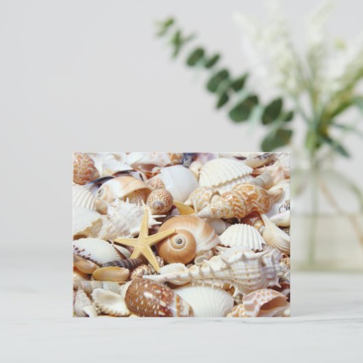 Seashells Postkarte (Stehend Vorderseite)