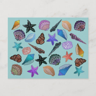 Seashells Postkarte