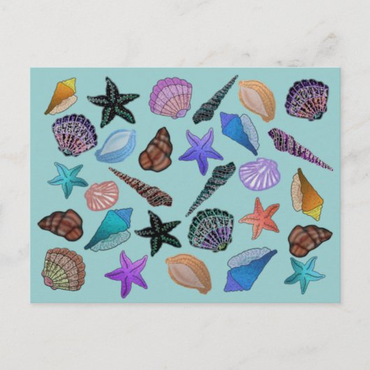 Seashells Postkarte (Vorderseite)