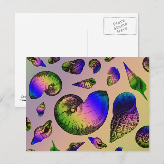 Seashells Postkarte (Vorne/Hinten)