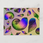 Seashells Postkarte (Vorderseite)