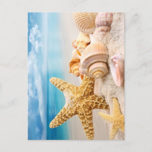 Seashells Postkarte (Vorderseite)