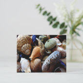 Seashells Postkarte (Stehend Vorderseite)