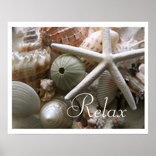 Seashells Print Poster (Vorne)