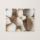 Seashells Puzzle (Horizontal)