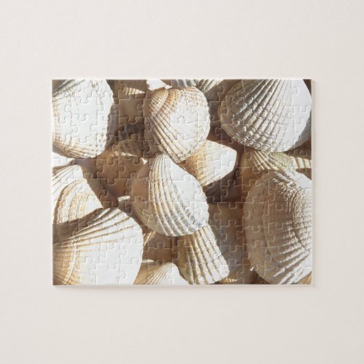 Seashells Puzzle (Horizontal)