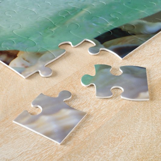 Seashells Puzzle (Seite)