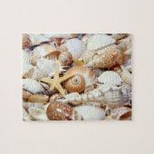 Seashells Puzzle (Horizontal)