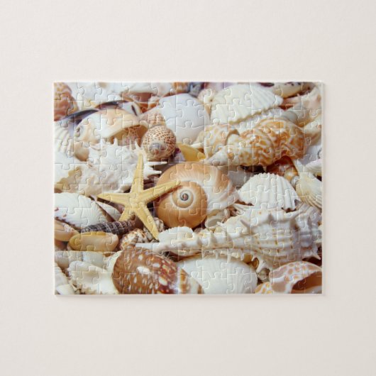 Seashells Puzzle (Horizontal)
