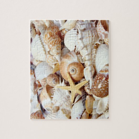 Seashells Puzzle (Vertikal)