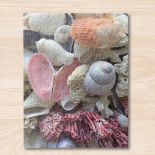 Seashells Puzzle