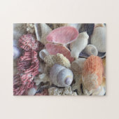 Seashells Puzzle (Horizontal)