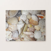 Seashells Puzzle (Horizontal)