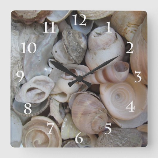 Seashells Quadratische Wanduhr (Vorderseite)