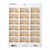 Seashells Rope Sand Adressaufkleber (Vorne)