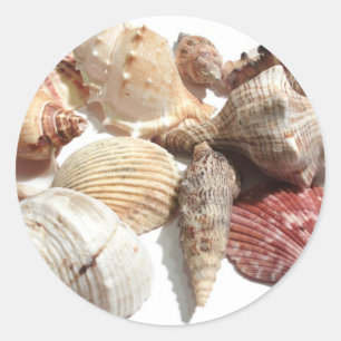 Seashells Runder Aufkleber